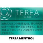 TEREA MENTHOL FOR IQOS ILUMA IN DUBAI