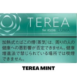 TEREA MINT FOR IQOS ILUMA IN DUBAI