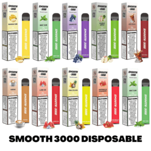 SMOOTH 3000 PUFFS DISPOSABLE VAPE IN UAE