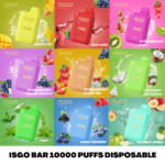 ISGO BAR 10000 PUFFS DISPOSABLE VAPE IN UAE