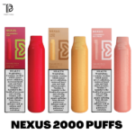 NEXUS 2000 PUFFS BEST DISPOSABLE VAPE IN UAE